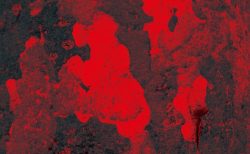 タイ世にも奇妙なニュース！死へと導く男女の声