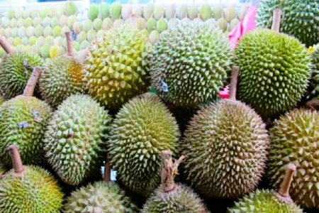 タイ面白ニュース！新種ボルケーノ・ドリアン誕生、デカくて香り良し