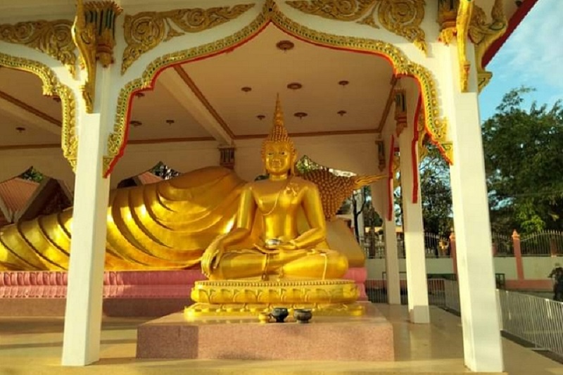 タイ珍ニュース！ブッダ像マンゴー木の中で発見＆ネットでライオン飼育員募集