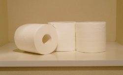 タイ面白ニュース！冷蔵庫悪臭取り新方法＆「お腹が空いた」としゃべる猫