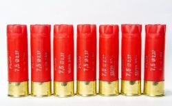 タイ家族事件！共同所有の土地を巡って元妻とトラブル、家を銃撃される